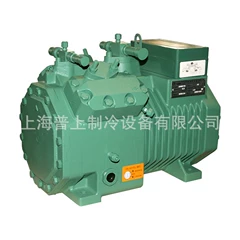 1000-BV-48 1200-BV-41 Compressor for Cold Room - 1000-BV-48 1200-BV-41