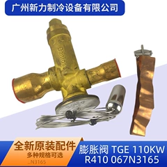 R410 067N3165 OEM Expansion Valve for Central Air Conditioner - R410 067N3165