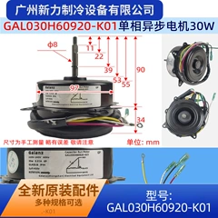 GAL030H60920-K01 AC220V OEM Outdoor Fan Motor for Air Conditioner - GAL030H60920-K01 AC220V