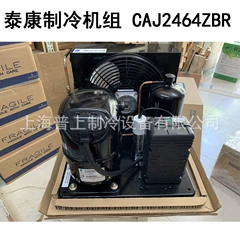 CAJ2432ZBR Compressor for Refrigeration - CAJ2432ZBR