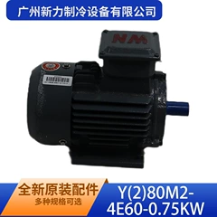Y(2)80M2-4E60-0.75KW YKSJ-750-4-2 OEM Motor - Y(2)80M2-4E60-0.75KW YKSJ-750-4-2