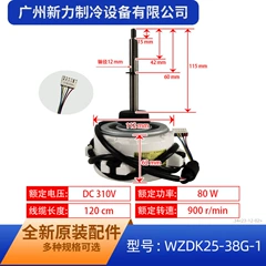 WZDK25-38G-1 ZKFP-25-8-3 OEM Brushless DC Outdoor Fan Motor for Air Conditioner - WZDK25-38G-1 ZKFP-25-8-3