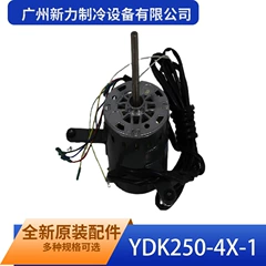 YDK250-4X-1 YKS-250-4-5 OEM Motor - YDK250-4X-1 YKS-250-4-5