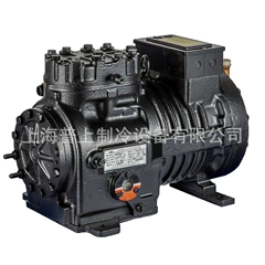 300FSV2-F 400FSV2-F Compressor for Cold Room - 300FSV2-F 400FSV2-F