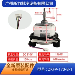 ZKFP-170-8-1 SIC-82FW-F1170-1 OEM DC Outdoor Fan Motor for Air Conditioner - ZKFP-170-8-1 SIC-82FW-F1170-1
