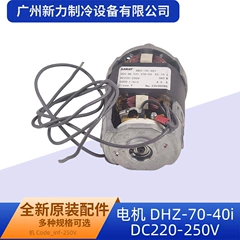 DHZ-70-40i DC220-250V OEM Motor for Soy Milk Maker - DHZ-70-40i DC220-250V