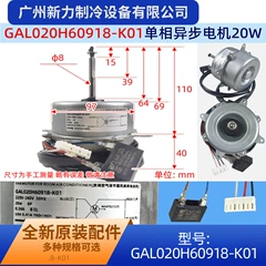 GAL020H60918-K01 AC220V OEM Electric Outdoor Fan Motor for Air Conditioner - GAL020H60918-K01 AC220V