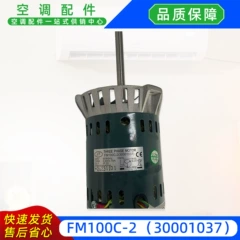 FM100C-2 30001037 OEM AC Motor - FM100C-2 30001037