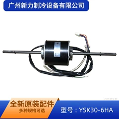 YSK300-6HA AC220V OEM Indoor Fan Motor for Central Air Conditioner - YSK300-6HA AC220V
