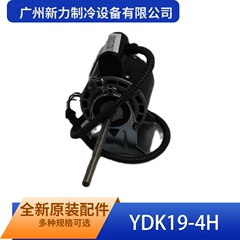 YDK19-4H(YF110-19-4D YKS-19-4-1-4 OEM Motor - YDK19-4H(YF110-19-4D YKS-19-4-1-4