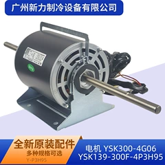 YSK300-4G06 YSK139-300F-4P3H95 OEM Motor for Central Air Conditioner - YSK300-4G06 YSK139-300F-4P3H95