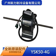 YSK50-4G YKSS50-4-18 OEM Motor - YSK50-4G YKSS50-4-18