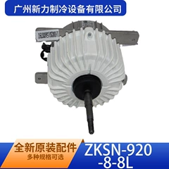 ZKSN-920-8-8L OEM Brushless DC Motor for VRF Air Conditioning System - ZKSN-920-8-8L