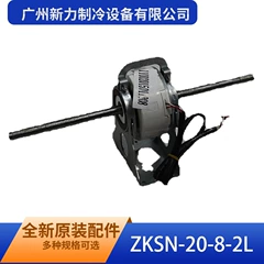 ZKSN-20-8-2L OEM Brushless DC Motor for Fan - ZKSN-20-8-2L
