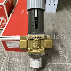DN10 WVFX10 Valve - DN10 WVFX10