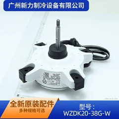 WZDK20-38G-W ZKFN-20-8-1 DC Brushless Motor for Air Conditioner - WZDK20-38G-W ZKFN-20-8-1