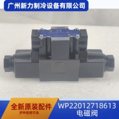 WP22012718613/DSG-01-3C2-A120-7090 OEM Solenoid Valve for Central Air Conditioner - WP22012718613/DSG-01-3C2-A120-7090