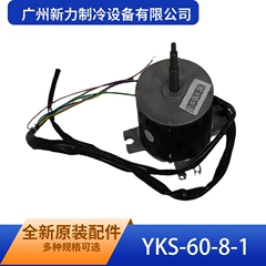 YKS-60-8-1 OEM Electric Indoor Fan Motor for Air Conditioner - YKS-60-8-1