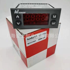 NA8810 Temperature Controller - NA8810