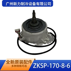ZKSP-170-8-6 SIC-82FW-F1170-2 OEM Brushless DC Motor for Air Conditioner - ZKSP-170-8-6 SIC-82FW-F1170-2