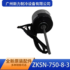 ZKSN-750-8-3 OEM Brushless DC Outdoor Fan Motor for Air Conditioner - ZKSN-750-8-3